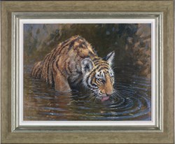 Tiger Cub in Water by Michael Jackson - Original Painting on Stretched Canvas sized 26x20 inches. Available from Whitewall Galleries